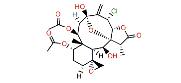 Fragilisinin B